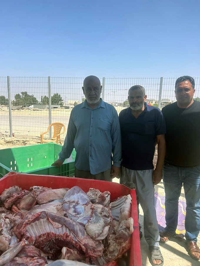 الاغاثة 48: جمع 20 طنًا من لحوم الأضاحي من النقب وتوزيعها على العائلات المستورة في مجتمعنا العربي